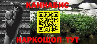 ешки Вязьма