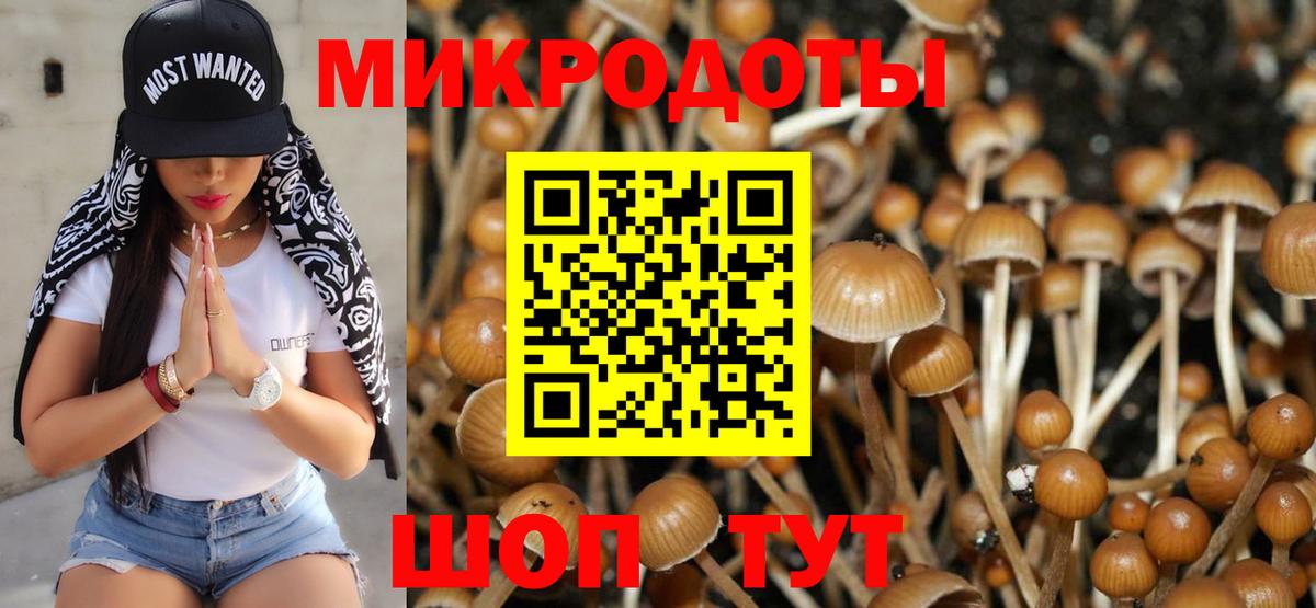 Псилоцибиновые грибы мицелий  даркнет сайт  Вход с VPN  Октябрьский  Псилоцибиновые грибы Psilocybine cubensis 